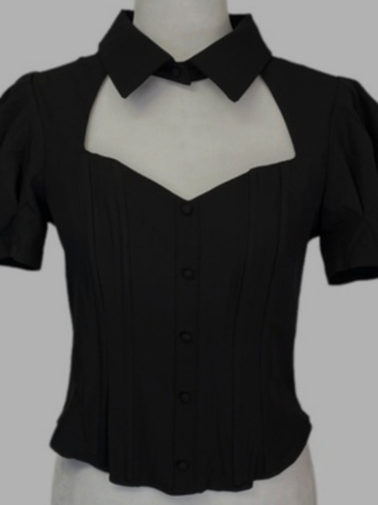 Milk & Honey Tops - NWOT Adorable Milk and Honey corset top with button up detailing size Large